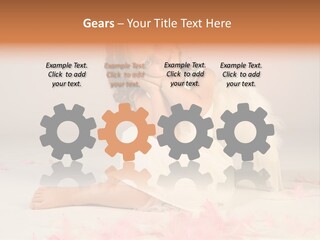 Wing Christmas Feather PowerPoint Template