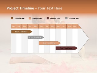 Wing Christmas Feather PowerPoint Template