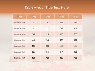 Wing Christmas Feather PowerPoint Template