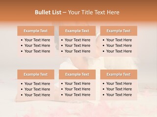 Wing Christmas Feather PowerPoint Template