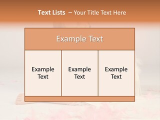 Wing Christmas Feather PowerPoint Template