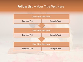 Wing Christmas Feather PowerPoint Template