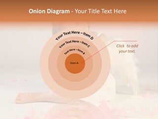 Wing Christmas Feather PowerPoint Template