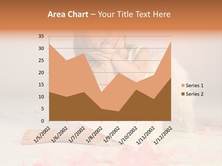 Wing Christmas Feather PowerPoint Template