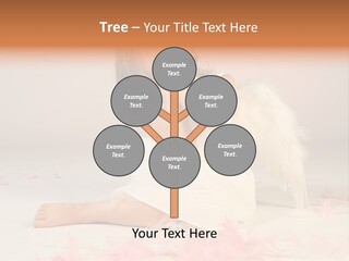 Wing Christmas Feather PowerPoint Template