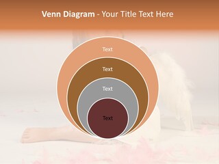 Wing Christmas Feather PowerPoint Template