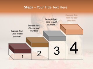 Wing Christmas Feather PowerPoint Template