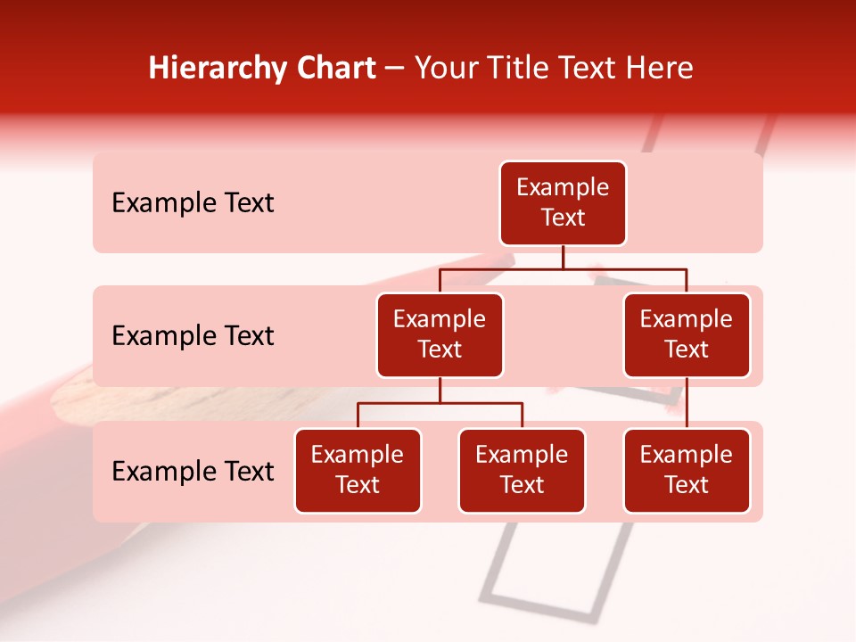 Decoration Caucasian Variety PowerPoint Template