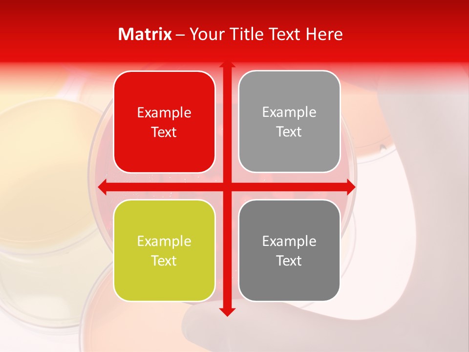 Diagnostics Bacteria Disease PowerPoint Template