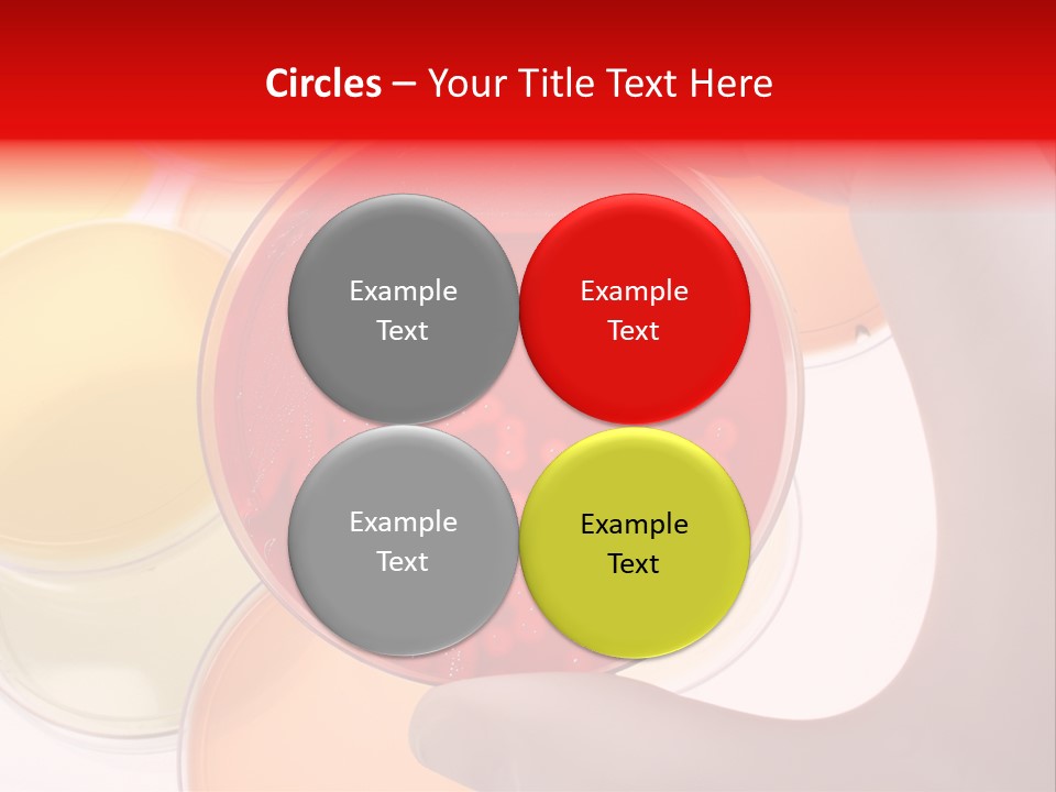 Diagnostics Bacteria Disease PowerPoint Template