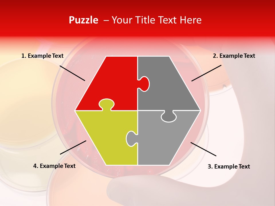 Diagnostics Bacteria Disease PowerPoint Template