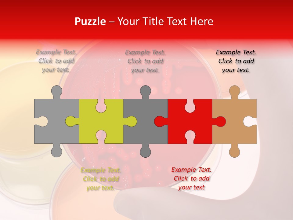 Diagnostics Bacteria Disease PowerPoint Template