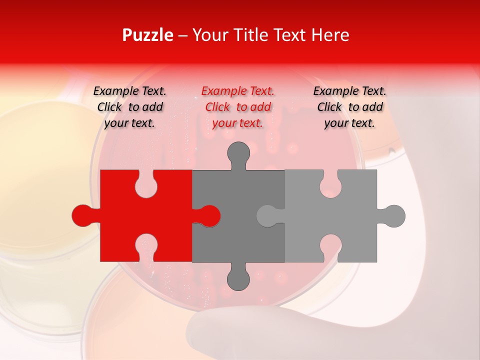 Diagnostics Bacteria Disease PowerPoint Template