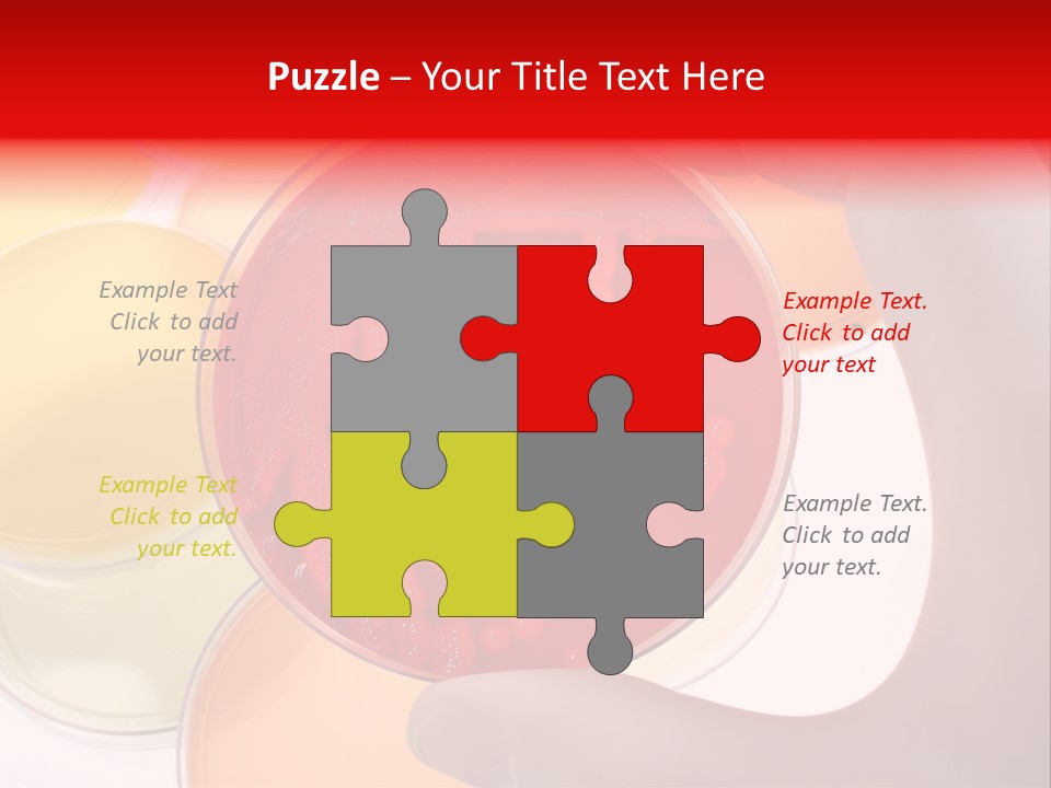 Diagnostics Bacteria Disease PowerPoint Template
