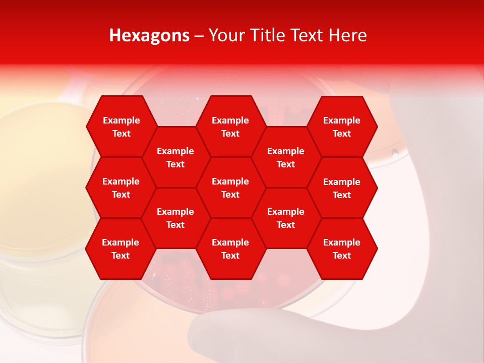 Diagnostics Bacteria Disease PowerPoint Template