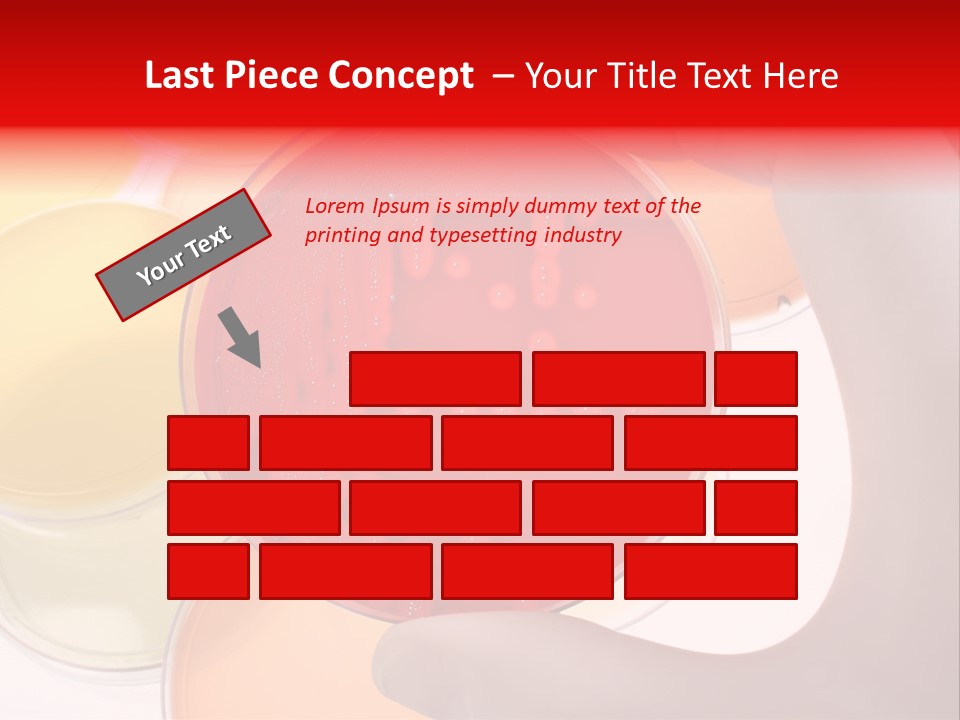 Diagnostics Bacteria Disease PowerPoint Template