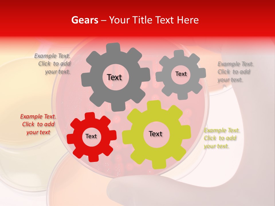 Diagnostics Bacteria Disease PowerPoint Template