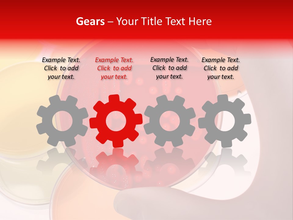 Diagnostics Bacteria Disease PowerPoint Template