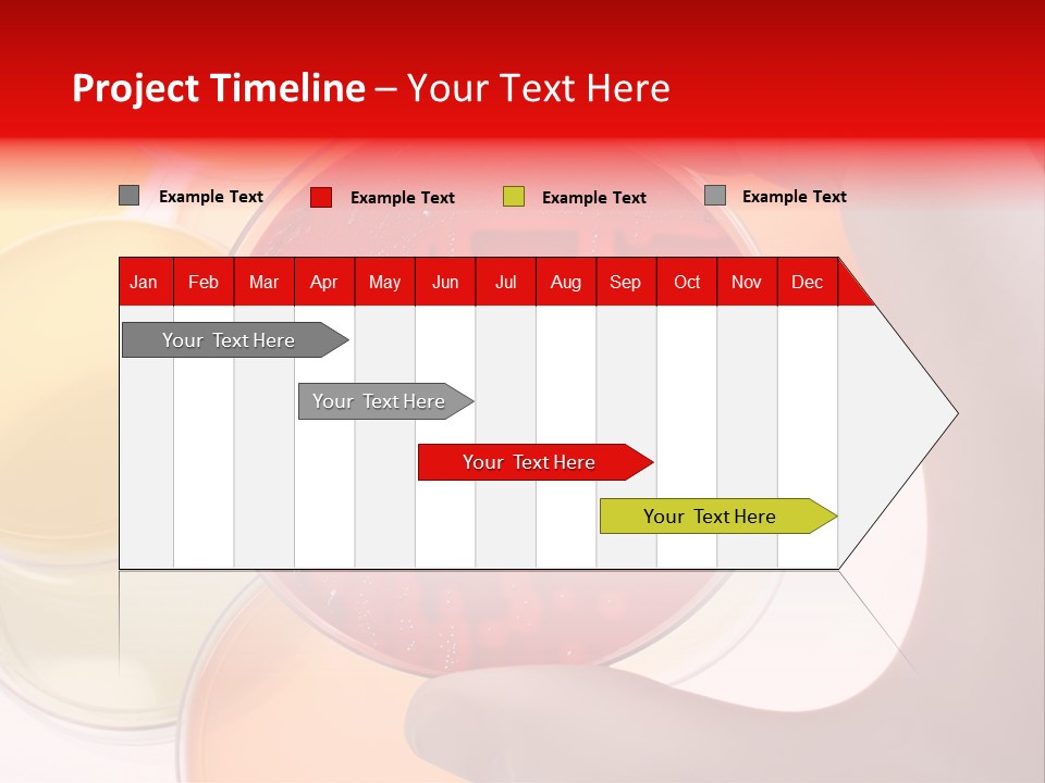 Diagnostics Bacteria Disease PowerPoint Template