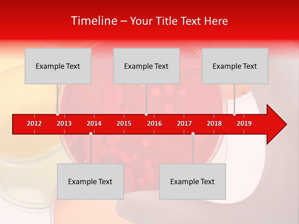 Diagnostics Bacteria Disease PowerPoint Template