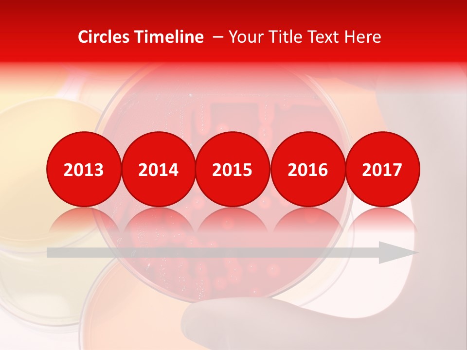 Diagnostics Bacteria Disease PowerPoint Template