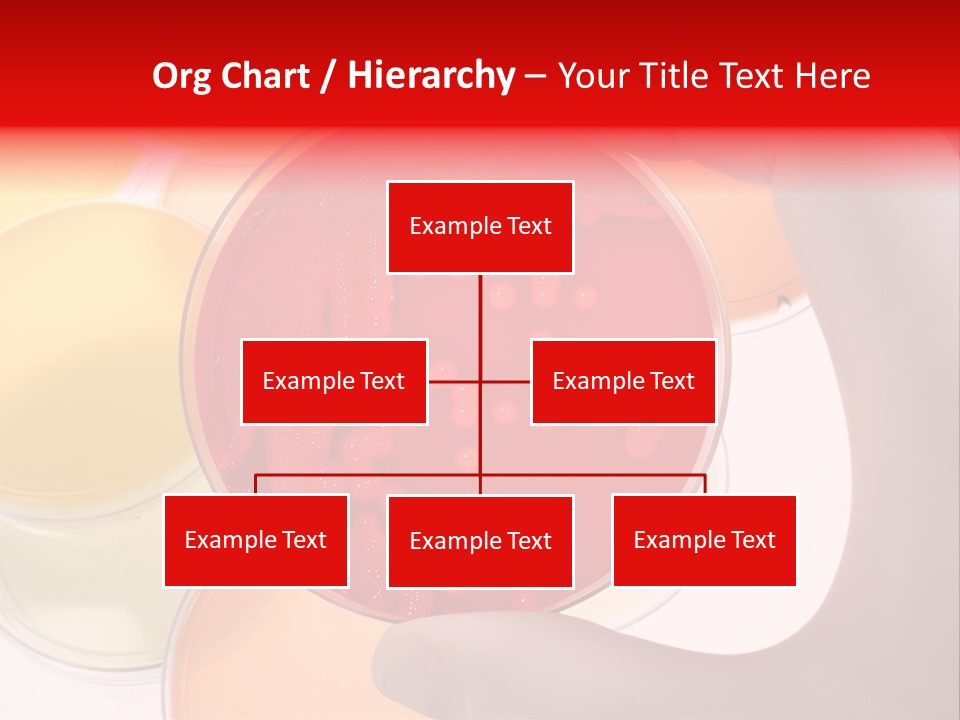 Diagnostics Bacteria Disease PowerPoint Template