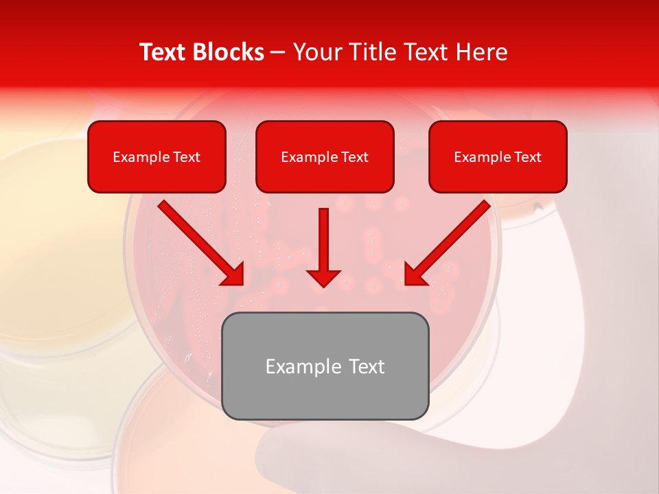 Diagnostics Bacteria Disease PowerPoint Template