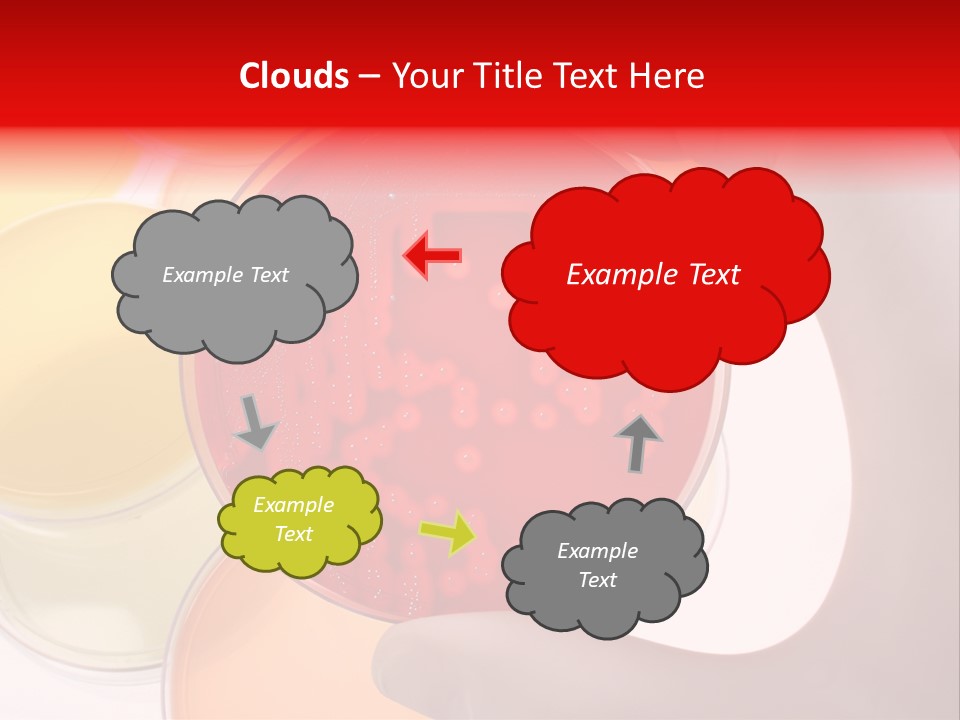 Diagnostics Bacteria Disease PowerPoint Template