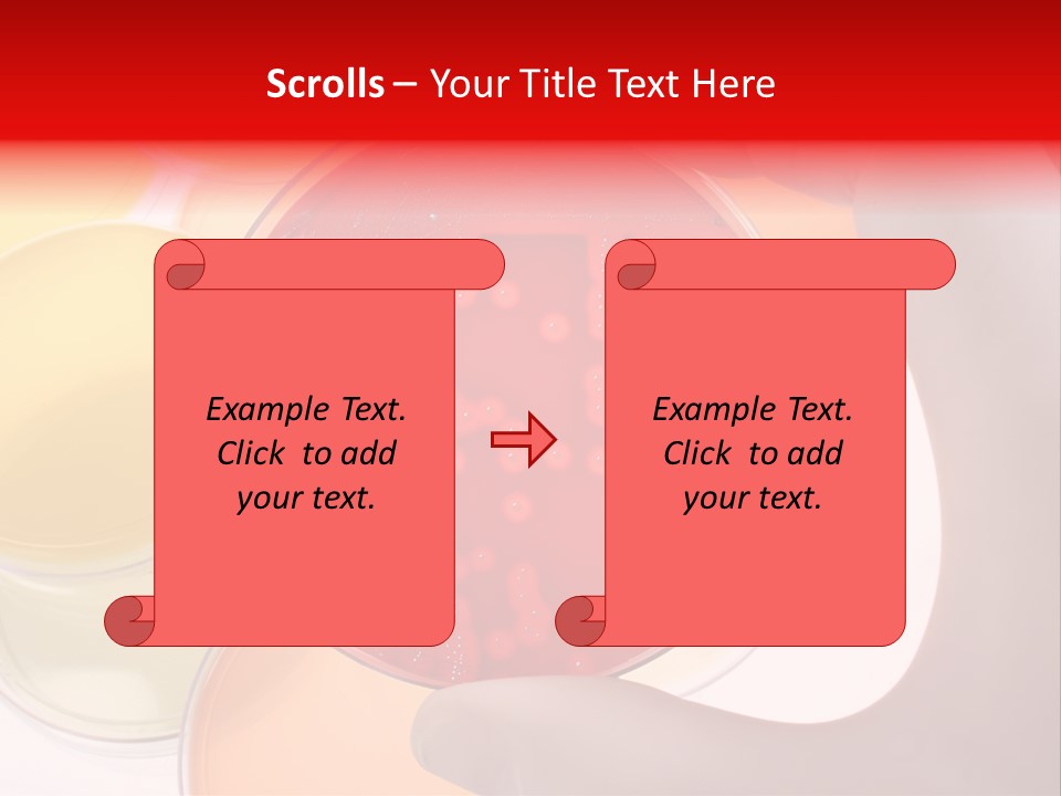 Diagnostics Bacteria Disease PowerPoint Template