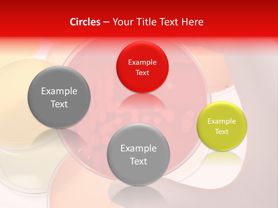 Diagnostics Bacteria Disease PowerPoint Template