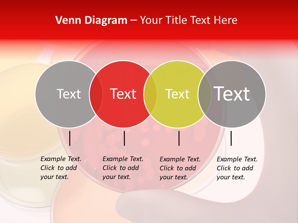 Diagnostics Bacteria Disease PowerPoint Template