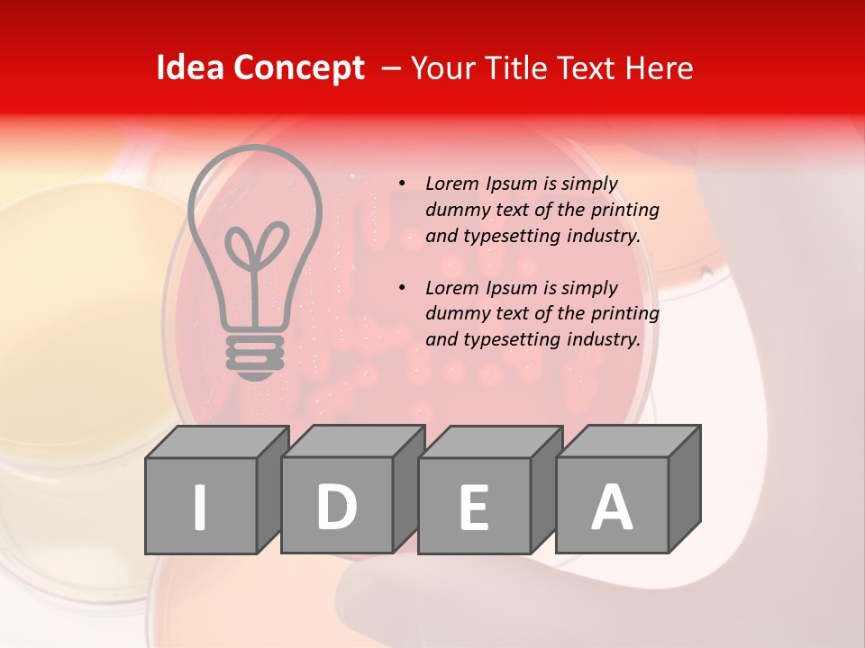Diagnostics Bacteria Disease PowerPoint Template