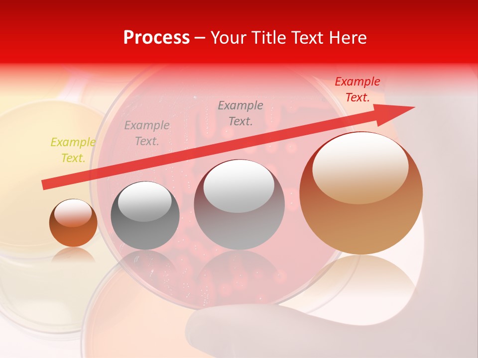 Diagnostics Bacteria Disease PowerPoint Template