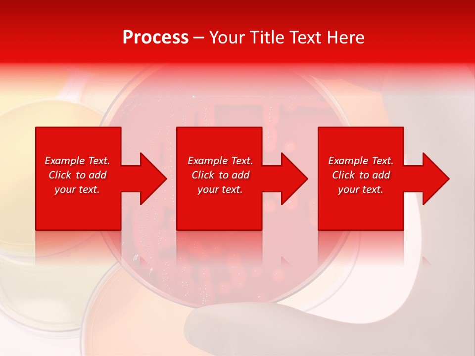 Diagnostics Bacteria Disease PowerPoint Template