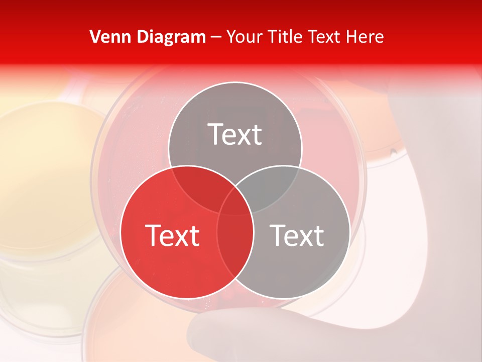 Diagnostics Bacteria Disease PowerPoint Template