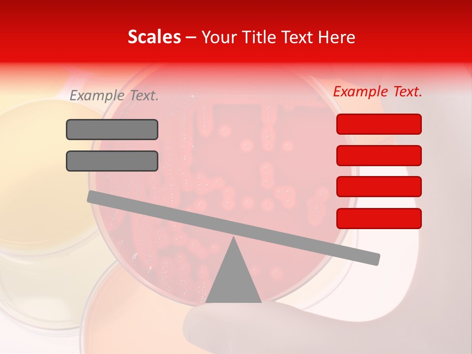 Diagnostics Bacteria Disease PowerPoint Template
