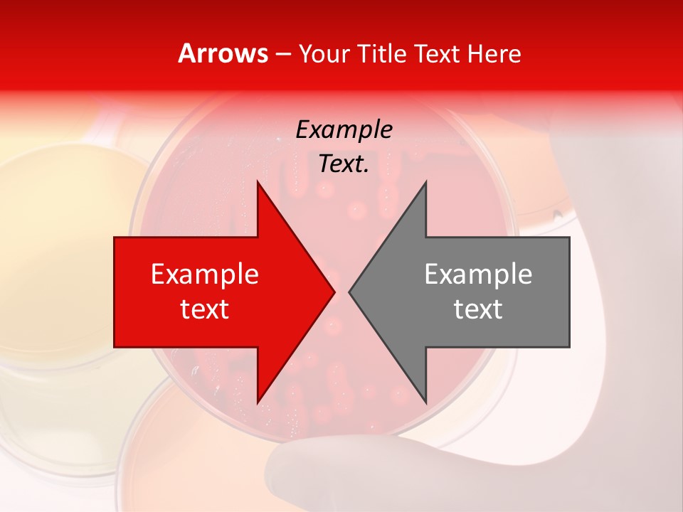 Diagnostics Bacteria Disease PowerPoint Template