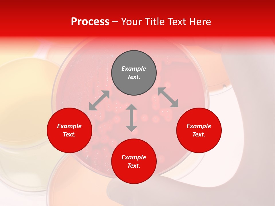 Diagnostics Bacteria Disease PowerPoint Template