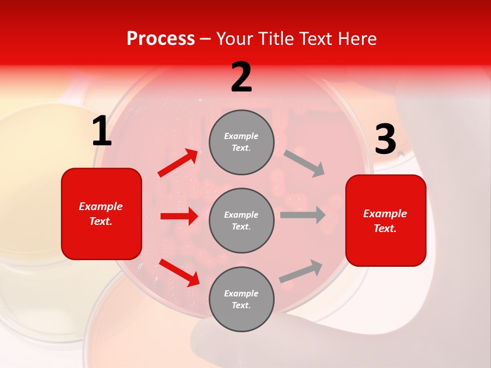 Diagnostics Bacteria Disease PowerPoint Template