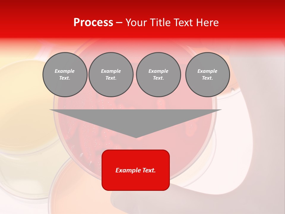 Diagnostics Bacteria Disease PowerPoint Template