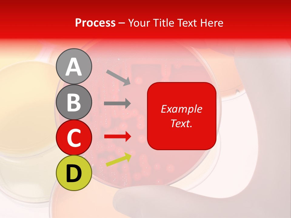 Diagnostics Bacteria Disease PowerPoint Template