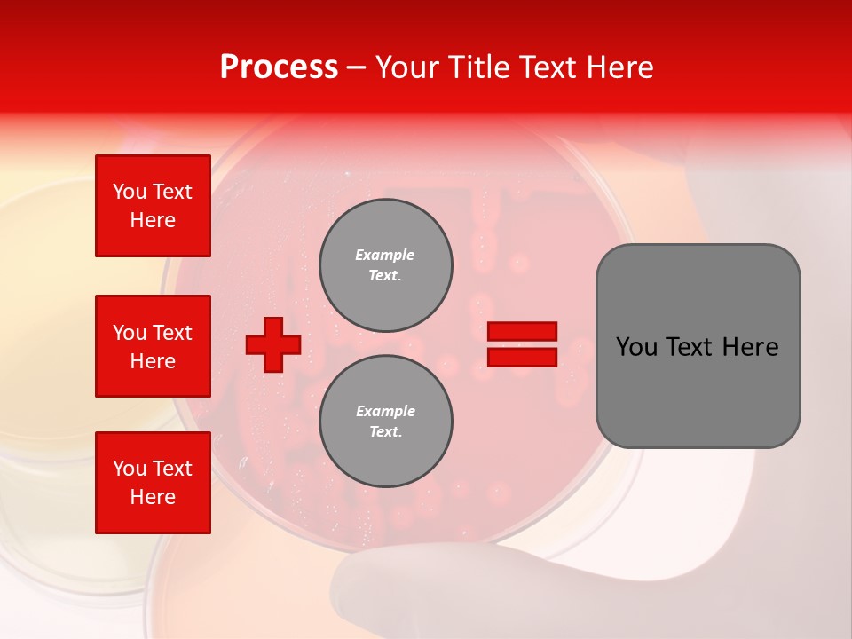 Diagnostics Bacteria Disease PowerPoint Template
