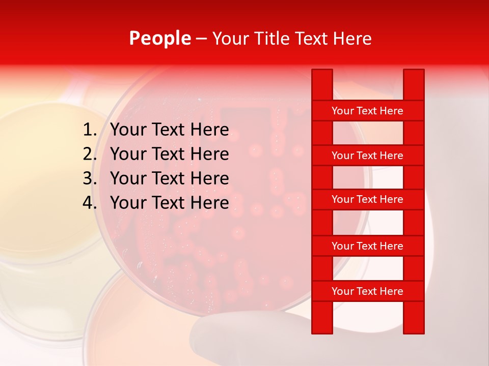 Diagnostics Bacteria Disease PowerPoint Template