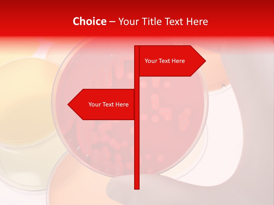 Diagnostics Bacteria Disease PowerPoint Template