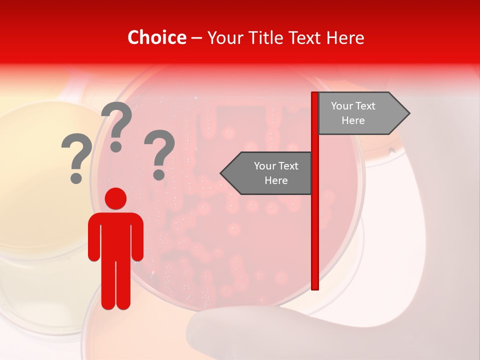 Diagnostics Bacteria Disease PowerPoint Template