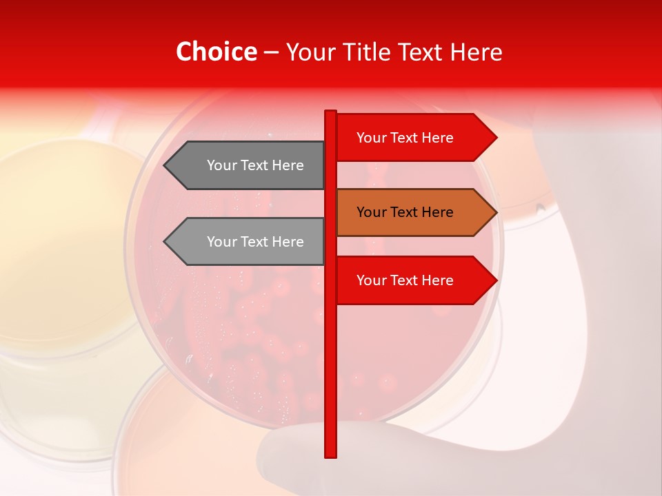 Diagnostics Bacteria Disease PowerPoint Template