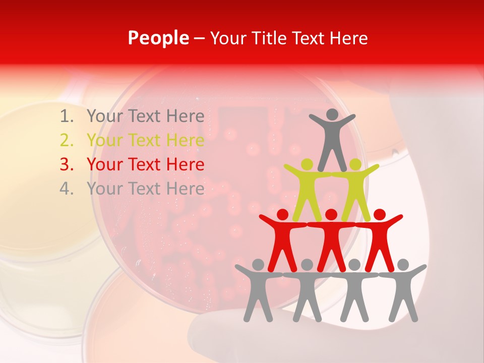 Diagnostics Bacteria Disease PowerPoint Template