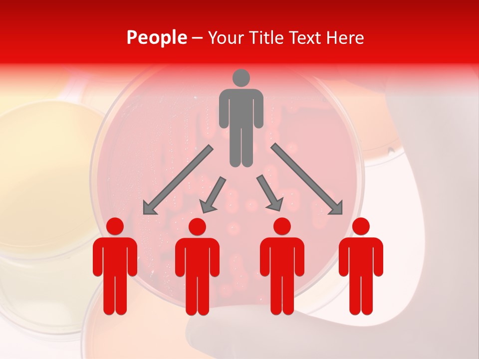 Diagnostics Bacteria Disease PowerPoint Template