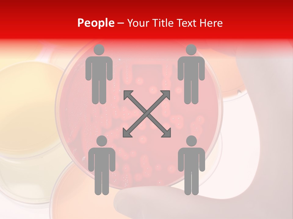 Diagnostics Bacteria Disease PowerPoint Template