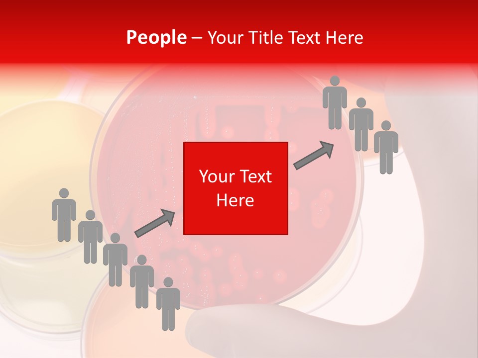 Diagnostics Bacteria Disease PowerPoint Template